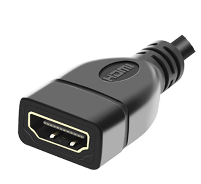 10cm Mini-HDMI to HDMI Cable Adapter (HDMI Type A-C, Female to Male)